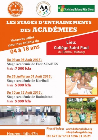 stage des academies 2015